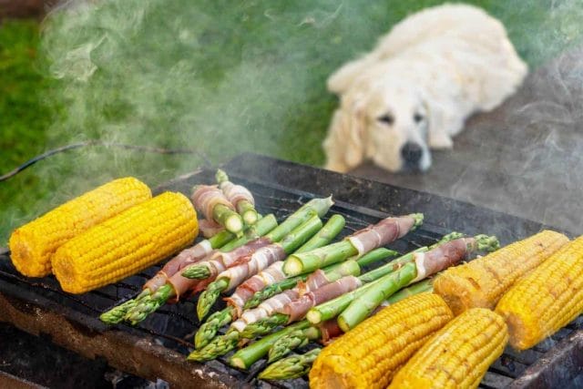 photo of a dog next to grill