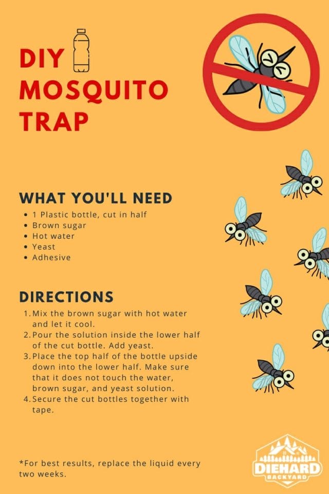 photo of Mosquito Trap