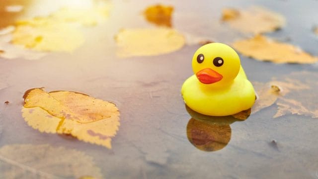 photo of rubber duckie in puddle