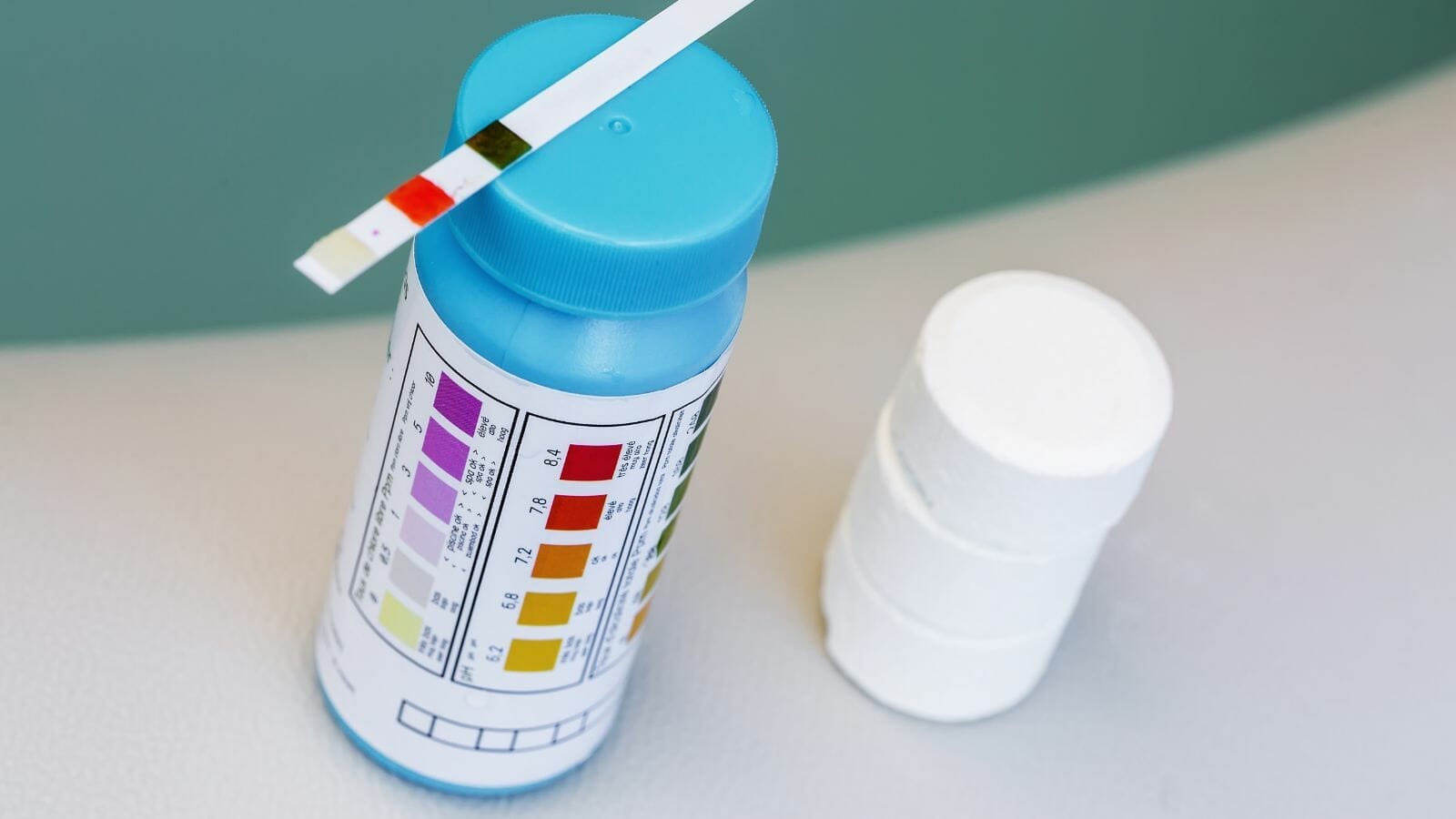 photo of pool test strip